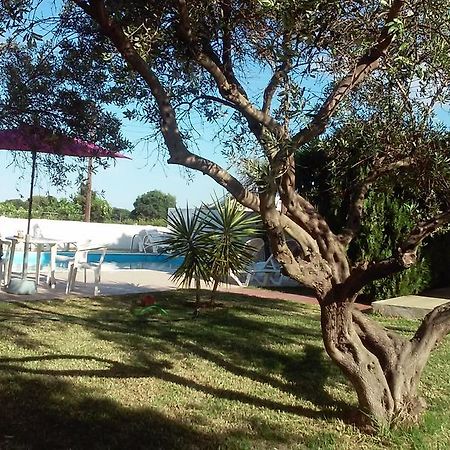 Marieva Apartmentsカナリ エクステリア 写真